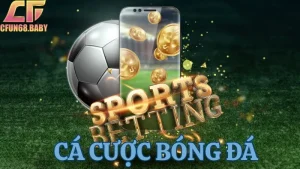 cá cược bóng đá