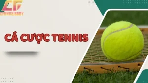 cá cược tennis