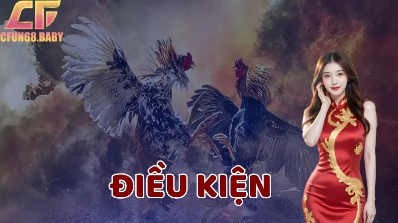 Tham khảo và chú ý thực hiện các đúng các điều kiện nhận khuyến mãi
